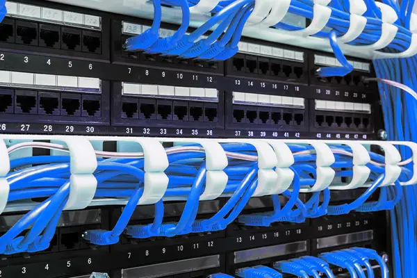 bevictor伟德官网-韦德官方网站